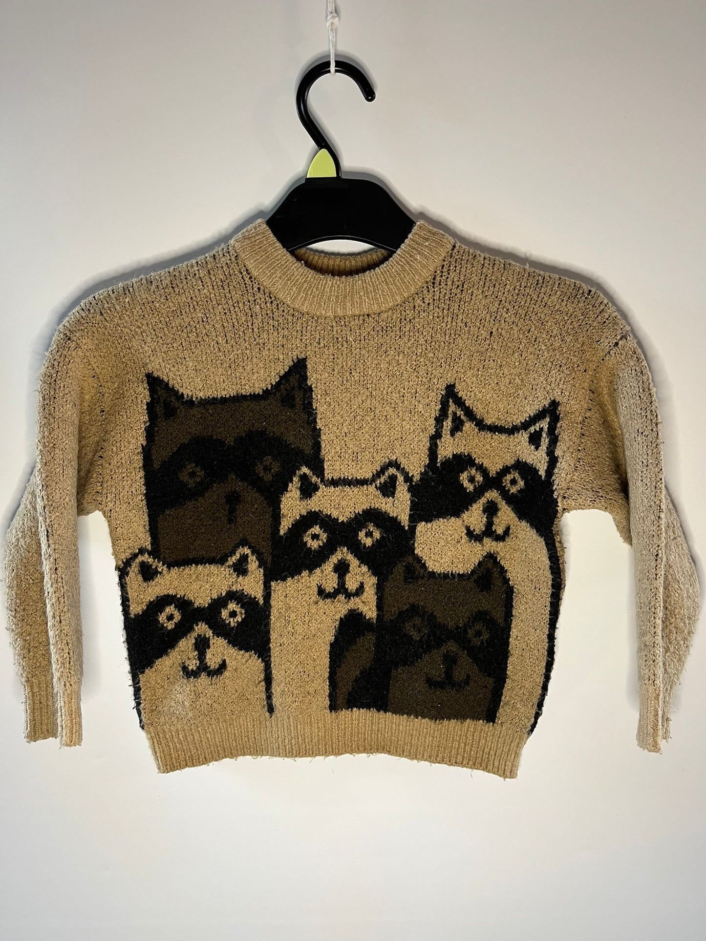 Beige sweater with raccoon design on a hanger against a white background Zara little drums preloved