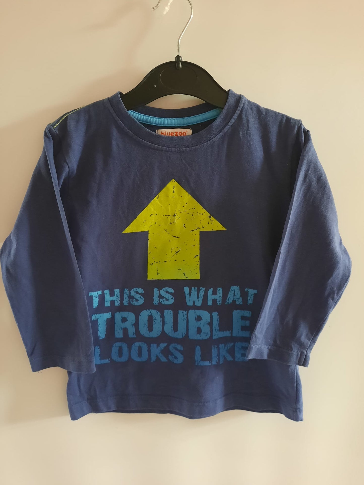 Blue zoo - L/S top (2-3)