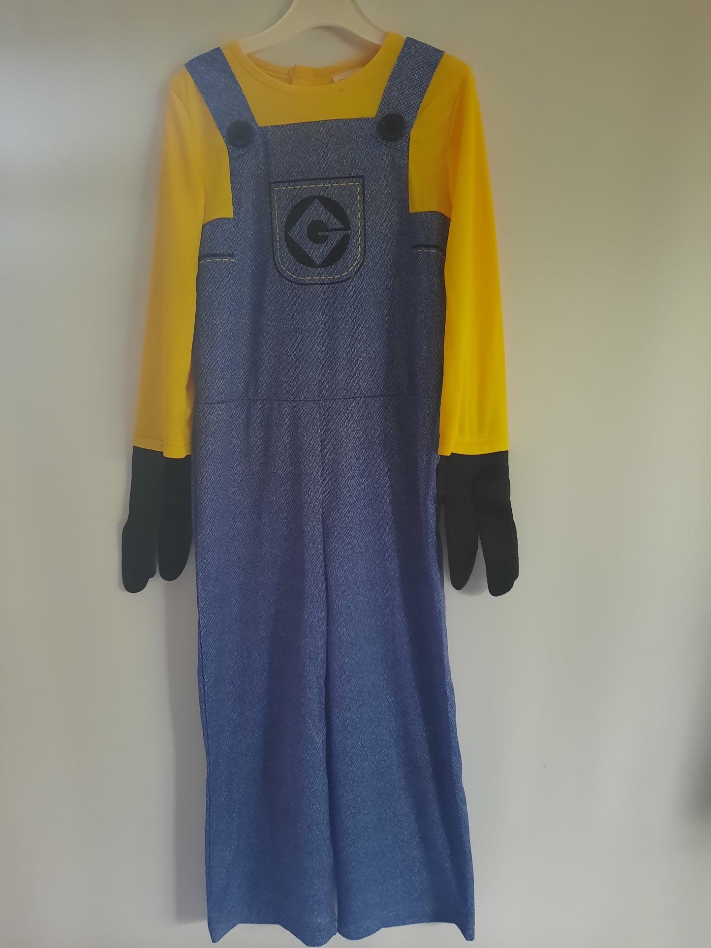 Despicable me costume (5-6)