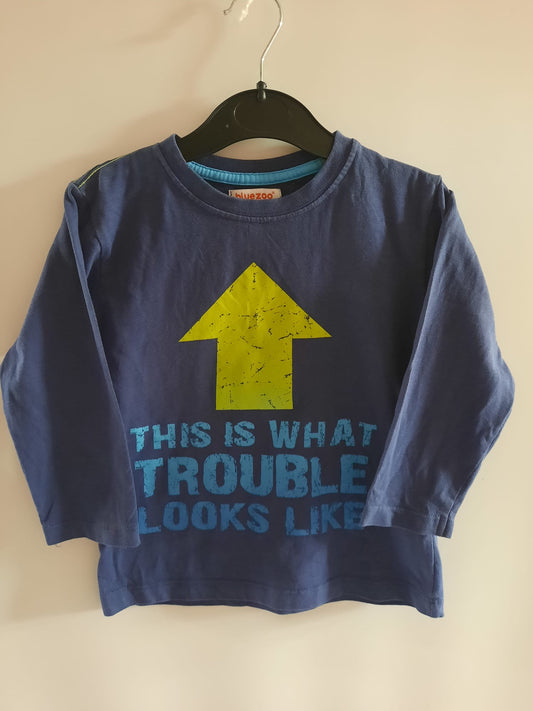Blue zoo - L/S top (2-3)