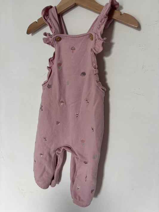 F&F - Dungarees (6-9)
