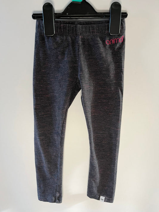 Animal - Leggings (2Y)