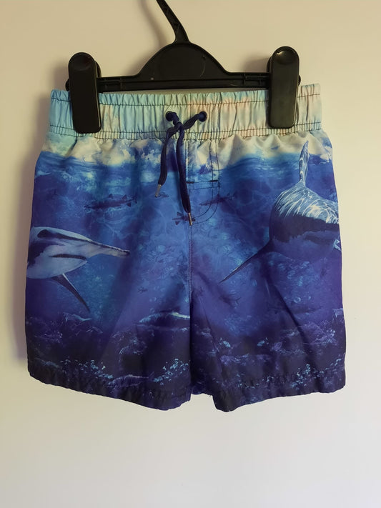 George - Swimshorts (6 - 7) - Little Drums